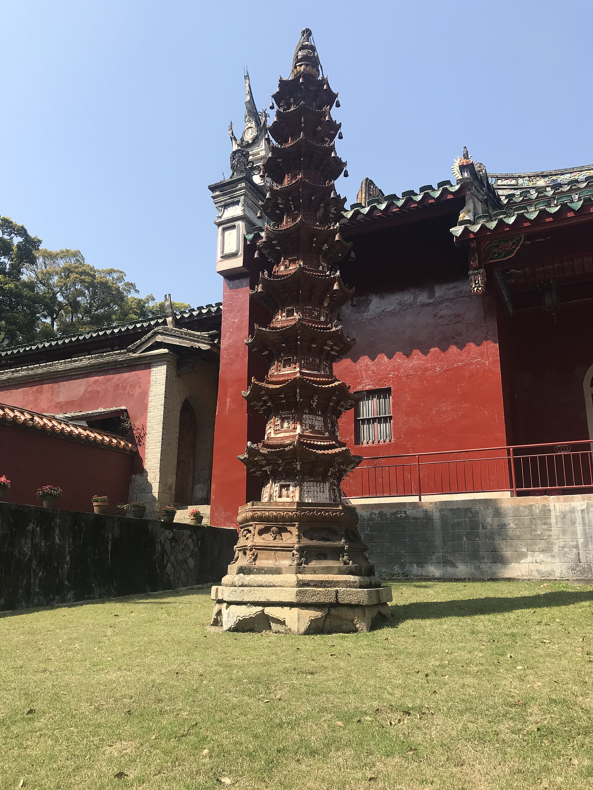 游览石竹 2